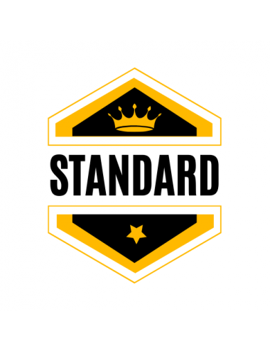 Standard Web Site