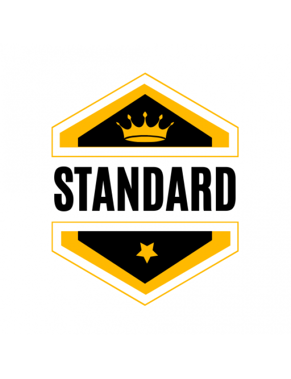 Standard Web Site